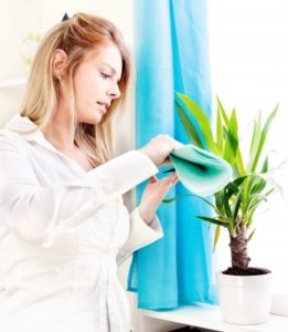 women cleaning by marin freedigital photos